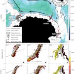 De minuscules trempettes au niveau de la mer révèlent un flux de cascades sous-marines régulatées par le climat