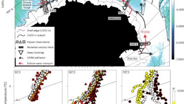 De minuscules trempettes au niveau de la mer révèlent un flux de cascades sous-marines régulatées par le climat