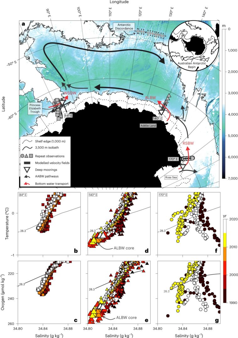 De minuscules trempettes au niveau de la mer révèlent un flux de cascades sous-marines régulatées par le climat