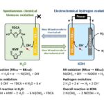 Déverrouiller une voie plus verte pour la conversion de la biomasse et la production d'hydrogène Déverrouiller une voie plus verte pour la conversion de la biomasse et la production d'hydrogène