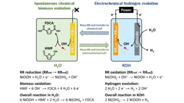 Déverrouiller une voie plus verte pour la conversion de la biomasse et la production d'hydrogène
