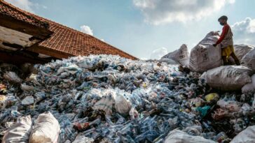 Devrions-nous abandonner le recyclage du plastique?