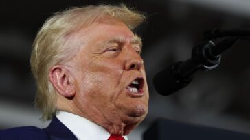 Donald Trump veut un autre emploi pour lequel il n'est pas qualifié: le pape