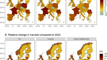Équilibrer la biodiversité et la bioéconomie à base de bois dans l'UE