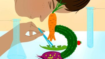 New Scientist. Science news and long reads from expert journalists, covering developments in science, technology, health and the environment on the website and the magazine.