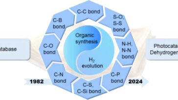 Exploitation de photocatalyse: génération d'hydrogène et synthèse organique explorée à travers une nouvelle base de données