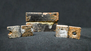 Fixer des fissures dans les briques spatiales avec des bactéries