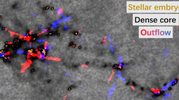 Formation de grappes hiérarchiques dans la naissance de la naissance de la Voie lactée des étoiles massives