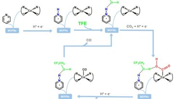Génération d'un microenvironnement de liaison à l'hydrogène pour stimuler l'électroduction de la CO₂