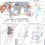 Global Effort mappe la voie des microplastiques à travers les systèmes critiques océaniques