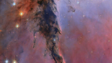 Hubble espionne un pilier cosmique dans la nébuleuse d'aigle