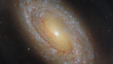Hubble étudie la formation d'étoiles de Galaxy à proximité