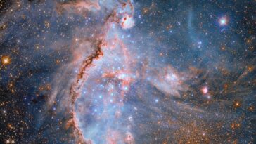 Hubble tache les sculpteurs stellaires dans la galaxie voisine
