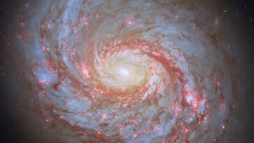 Image: Hubble repère un calmar dans la baleine