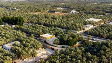 L'Arabie est verte depuis de longues sorts au cours des 8 millions d'années dernières