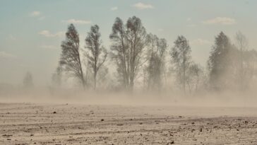 L'Irak Sandstorm laisse 1 800 personnes souffrant de problèmes respiratoires: les responsables de la santé