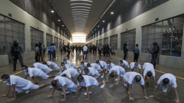 L'administration Trump a expulsé 238 hommes à la prison infernale au Salvador. 75% n'ont apparemment aucun casier judiciaire
