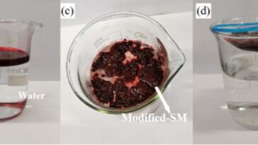L'adsorbant à base de mousse réutilisable peut aider à nettoyer les déversements d'huile