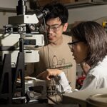 L'algorithme de signature légère offre un aperçu précis des protéines virales, des marqueurs et des semi-conducteurs des maladies cérébrales