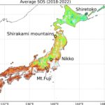 L'analyse des données par satellite montre une chasse à la feuille de printemps antérieure au Japon causée par des températures élevées en 2023 et 2024
