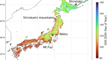 L'analyse des données par satellite montre une chasse à la feuille de printemps antérieure au Japon causée par des températures élevées en 2023 et 2024