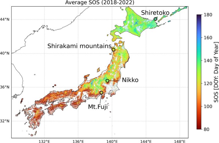 L'analyse des données par satellite montre une chasse à la feuille de printemps antérieure au Japon causée par des températures élevées en 2023 et 2024