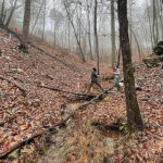 L'effet «surprenant» du séchage des eaux de tête sur la dynamique de l'azote