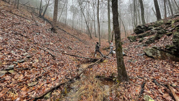 L'effet «surprenant» du séchage des eaux de tête sur la dynamique de l'azote