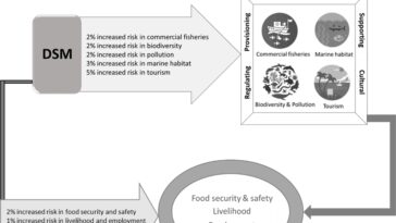 L'étude minière en haute mer révèle des risques environnementaux et économiques importants pour les communautés et les entreprises côtières
