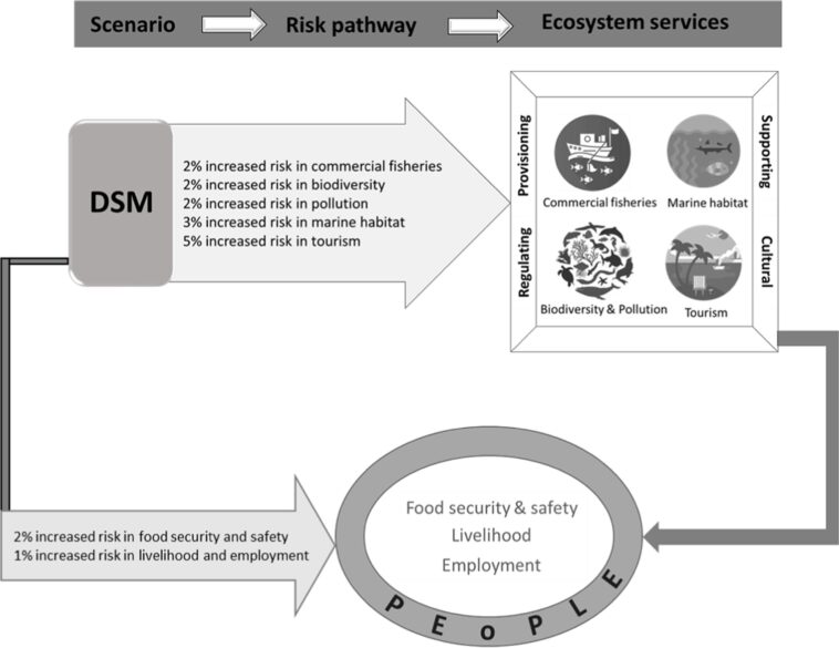 L'étude minière en haute mer révèle des risques environnementaux et économiques importants pour les communautés et les entreprises côtières