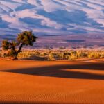 L'étude révèle 8 millions d'années de «Arabie verte»