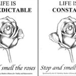 Les gens ont tendance à s'arrêter et à sentir davantage les roses quand on dit que la vie est imprévisible