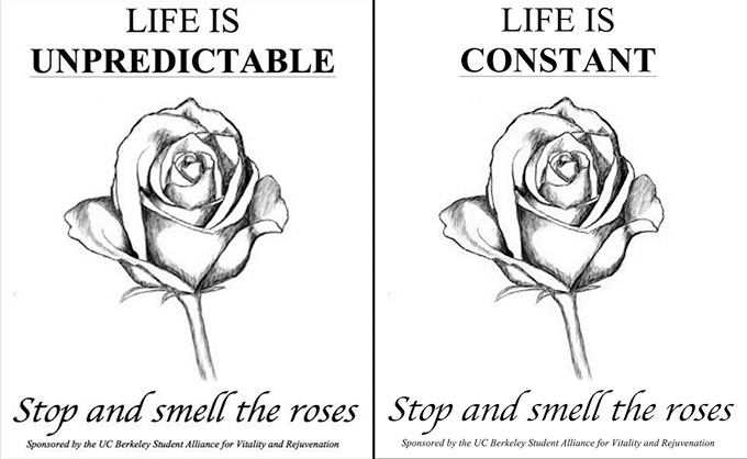 Les gens ont tendance à s'arrêter et à sentir davantage les roses quand on dit que la vie est imprévisible