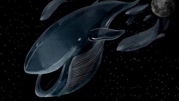 New Scientist. Science news and long reads from expert journalists, covering developments in science, technology, health and the environment on the website and the magazine.