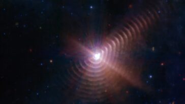 La combinaison de méthodes de lumière polarisée révèle des orientations moléculaires cachées avec précision