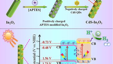 La construction de l'hétérojonction S-Scheme améliore l'évolution de l'hydrogène photocatalytique