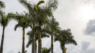 La flambée d'assurance coûte la principale préoccupation des Floridiens, conclut enquête