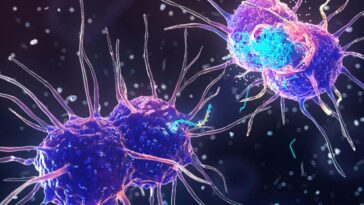 Illustration of Neisseria gonorrhoeae bacteria releasing DNA (blue) with antibiotic resistance genes (yellow)