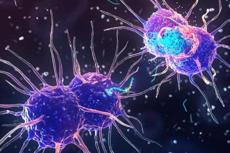 Illustration of Neisseria gonorrhoeae bacteria releasing DNA (blue) with antibiotic resistance genes (yellow)