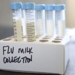 La grippe oiseaux dans les vaches ne montre aucun signe d'adaptation aux humains - pourtant