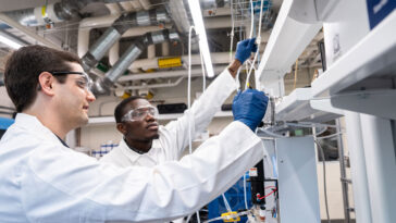 La nouvelle revue exhorte des tests rigoureux pour les catalyseurs à atomes uniques dans l'industrie