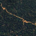 La nouvelle technologie aide à lutter contre l'exploitation forestière illégale de la précieuse forêt tropicale du Pérou La nouvelle technologie aide à lutter contre l'exploitation forestière illégale de la précieuse forêt tropicale du Pérou