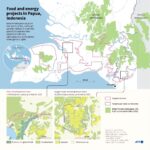 La plus grande `` déforestation du monde du monde du monde du monde
