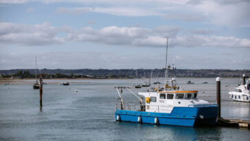 La pollution chimique augmente plus de 100 fois après les décharges des eaux usées dans les eaux de la côte sud