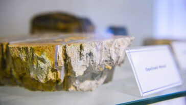 La première composition de la première croûte du début de la Terre réécrit la chronologie géologique