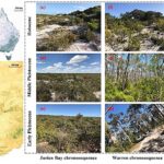 La recherche découvre comment les protéines du sol et la matière organique stabilisent le carbone au cours des millénaires La recherche découvre comment les protéines du sol et la matière organique stabilisent le carbone au cours des millénaires