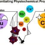 La recherche sur la chimie nucléaire obtient une augmentation de l'efficacité avec «approche série»