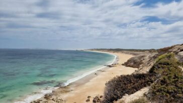 La recherche trouve 39% moins de déchets plastiques dans les villes côtières australiennes qu'il y a dix ans