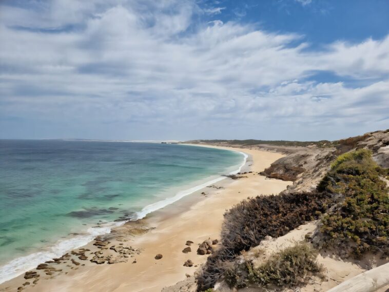 La recherche trouve 39% moins de déchets plastiques dans les villes côtières australiennes qu'il y a dix ans