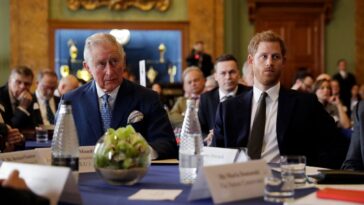 La relation du prince Harry et du roi Charles est encore «distante», dit Source